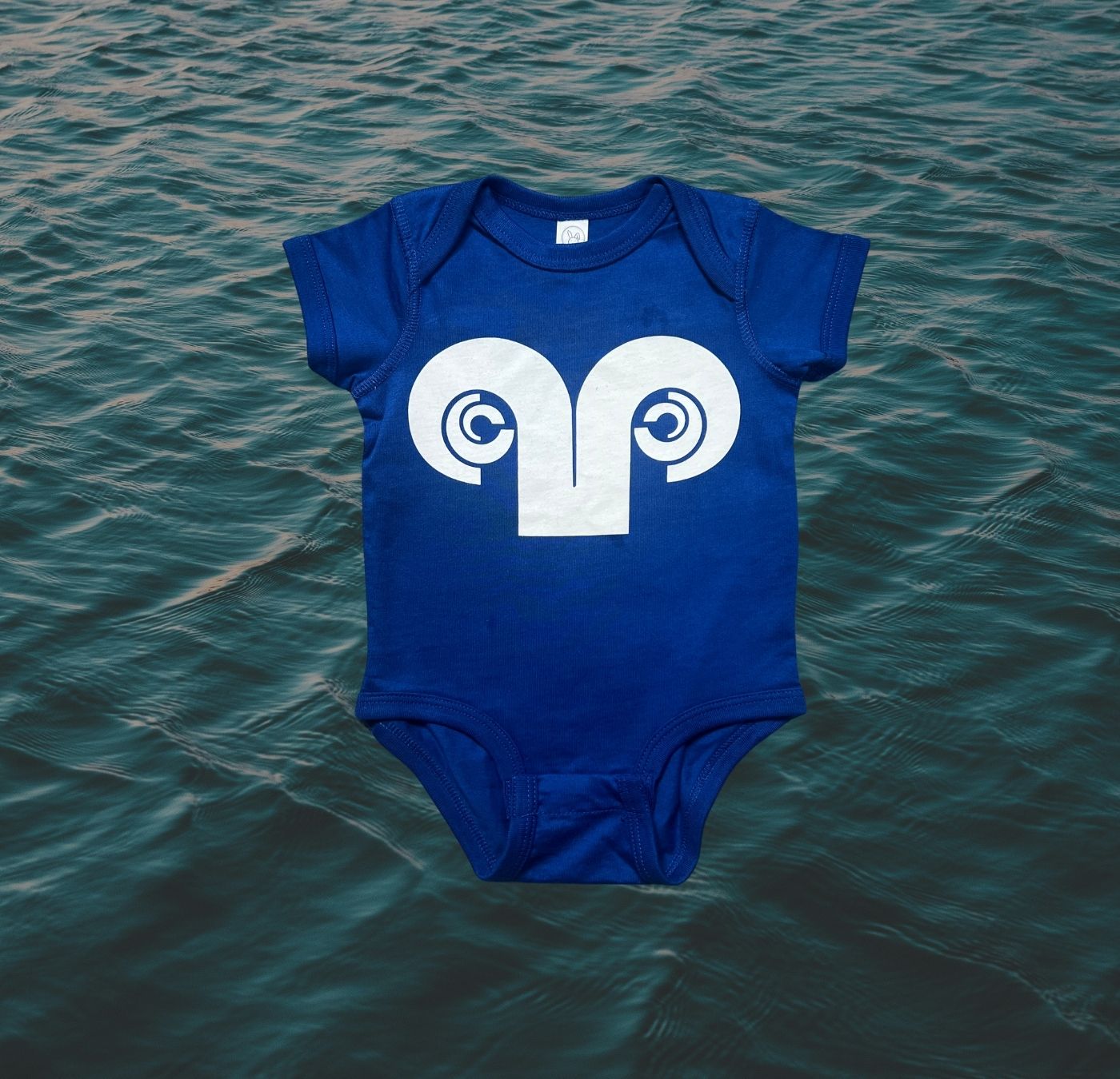 Onesie