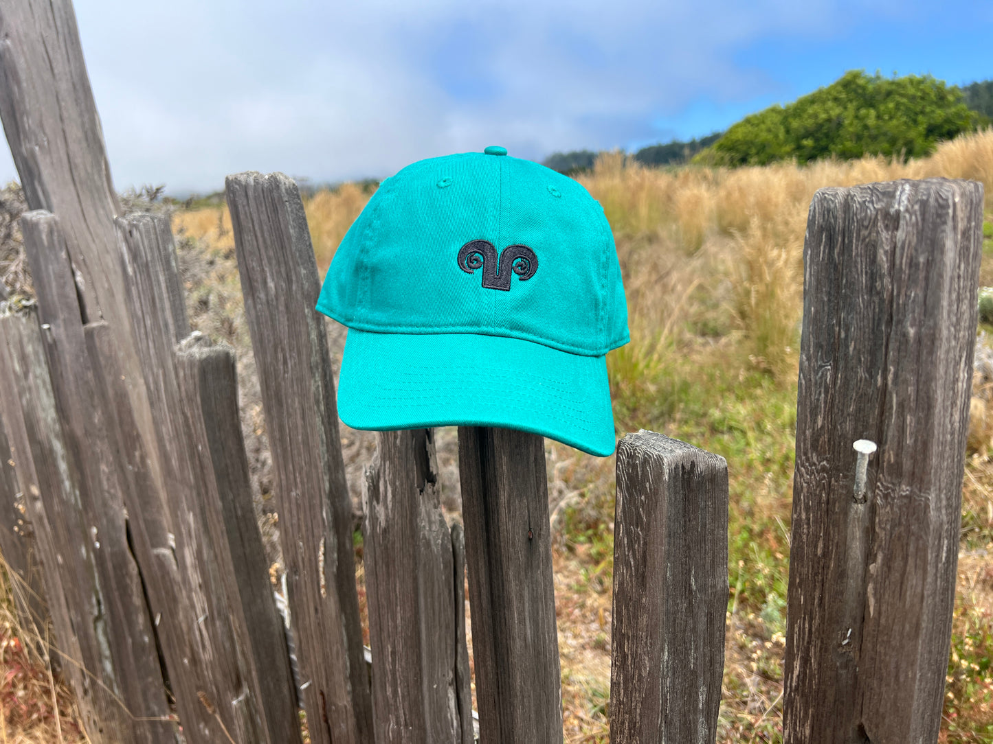 Adult Baseball Hat