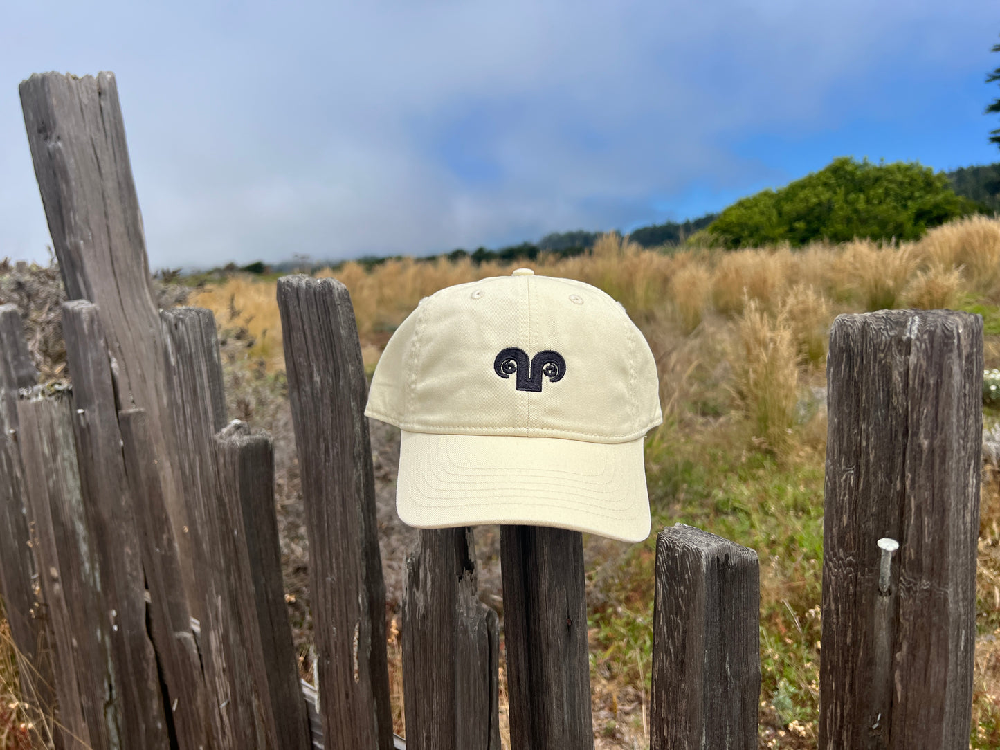 Adult Baseball Hat