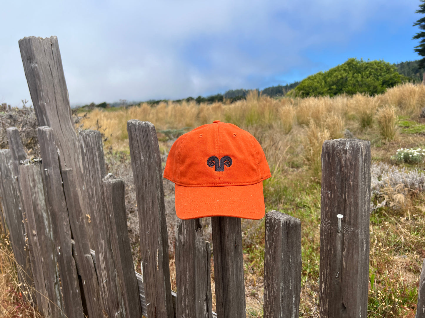 Adult Baseball Hat