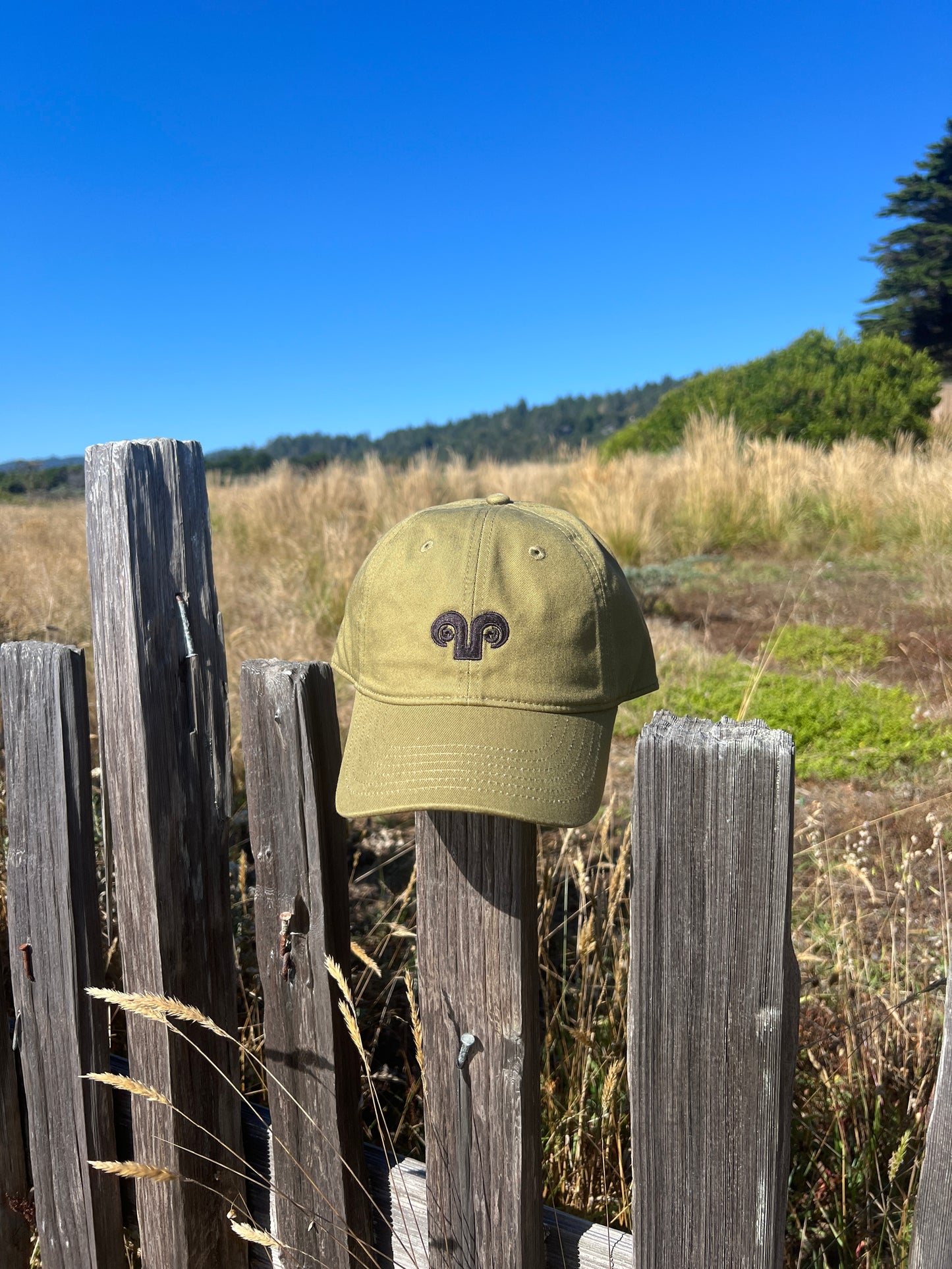 Adult Baseball Hat