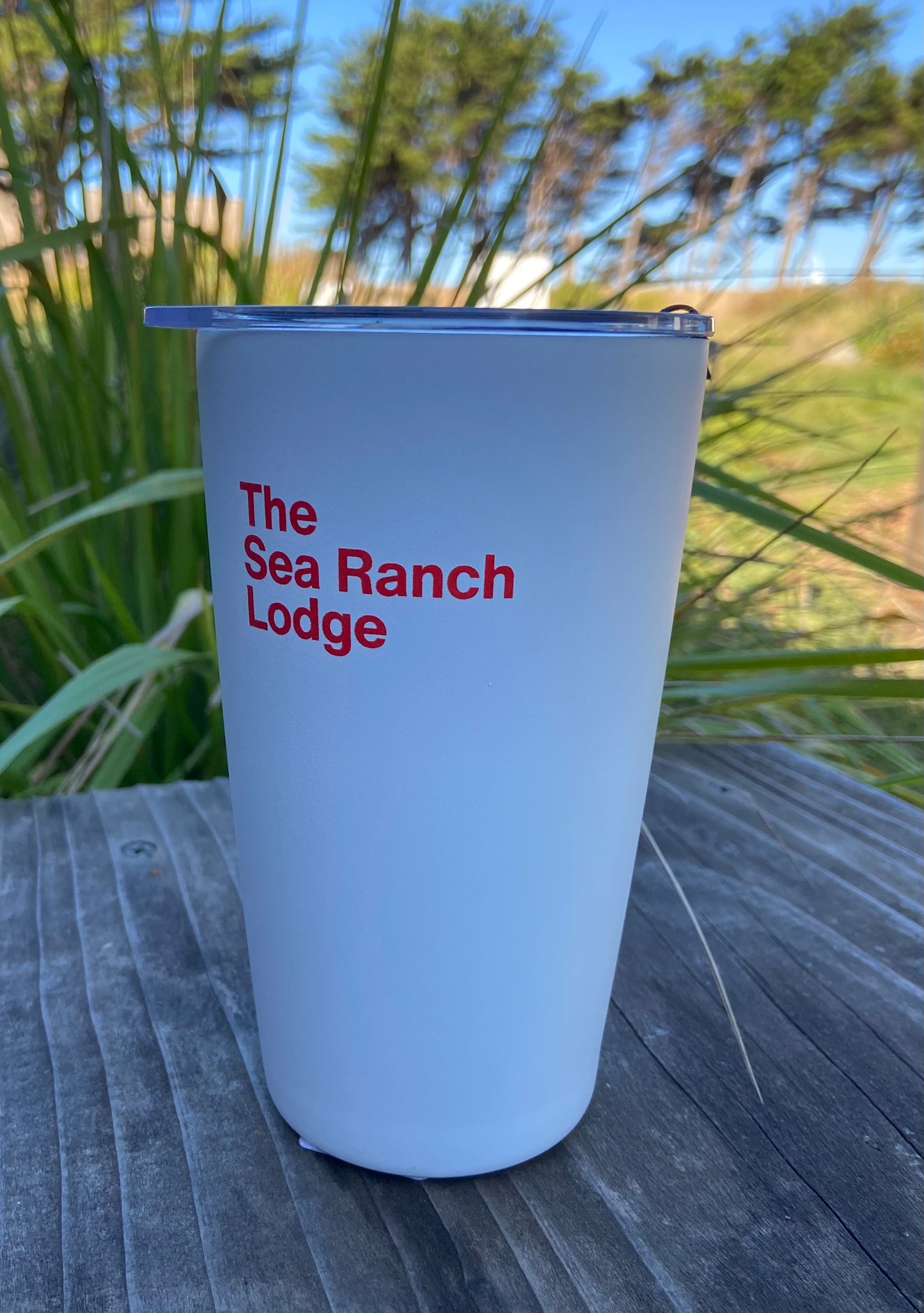 Insulated Tumbler