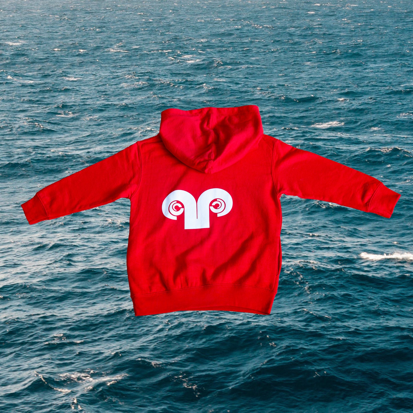 Youth Hoodie