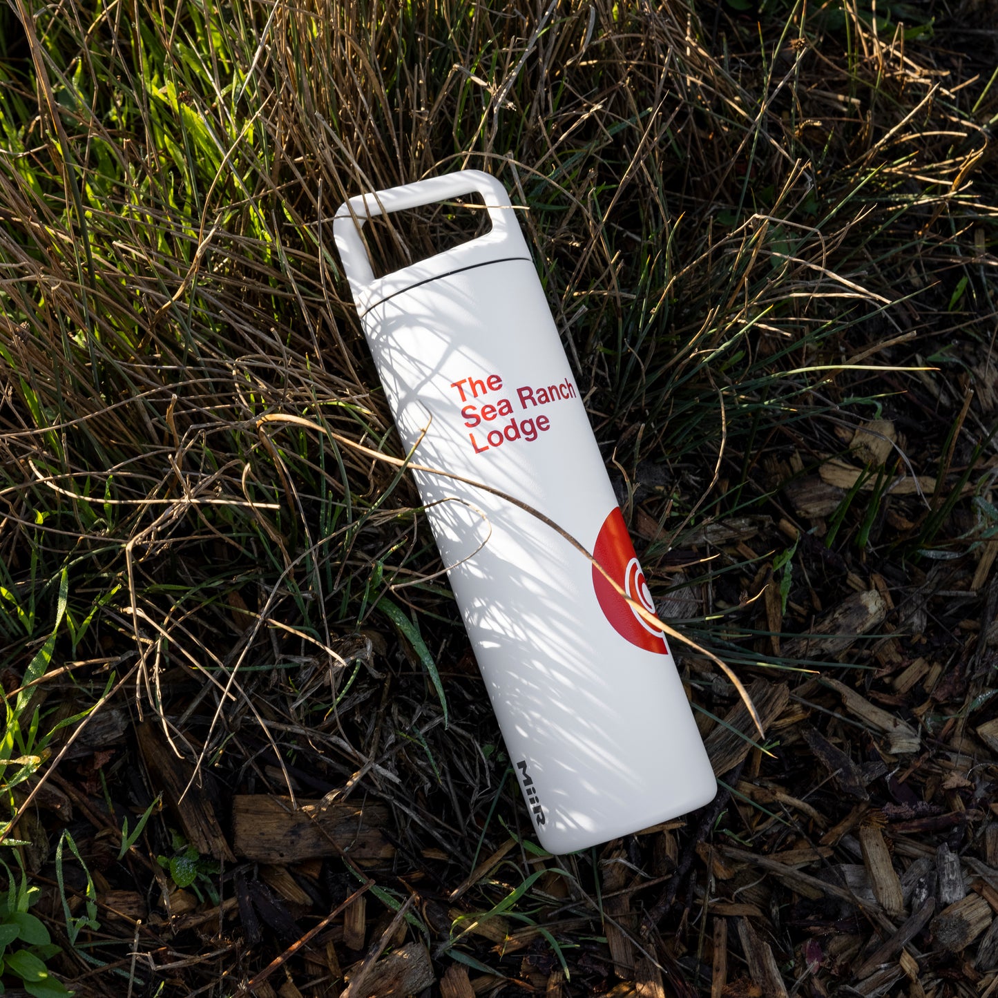 Insulated Water Bottle