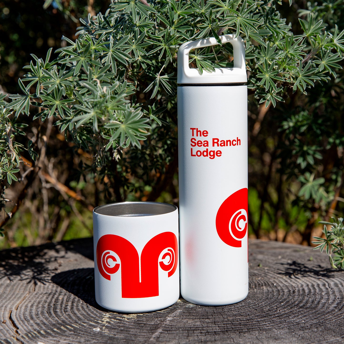 Insulated Water Bottle