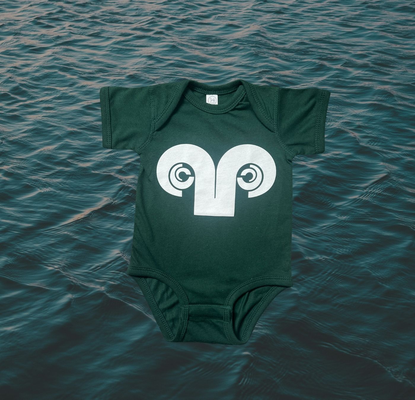 Onesie