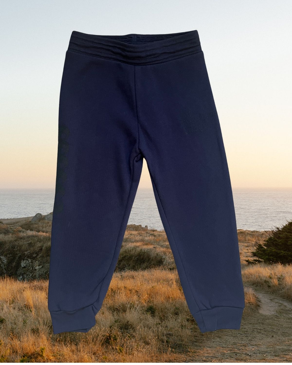 Toddler Sweatpants