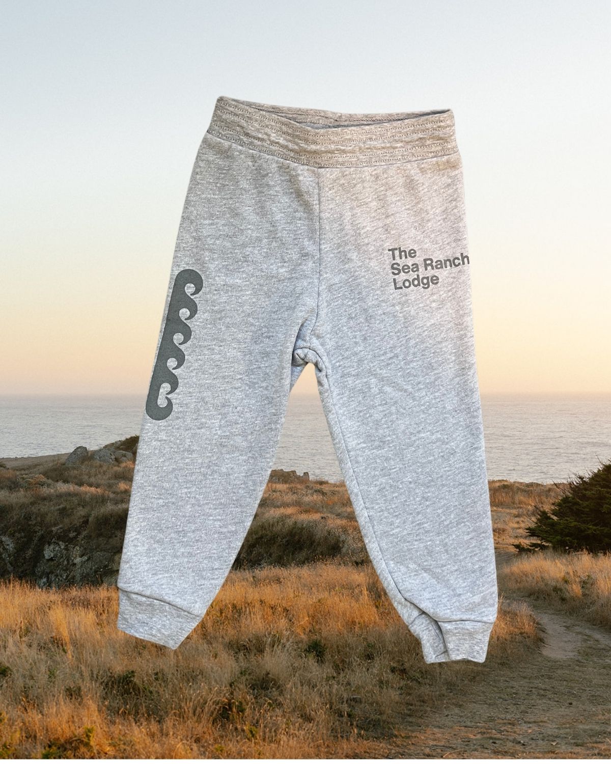 Toddler Sweatpants
