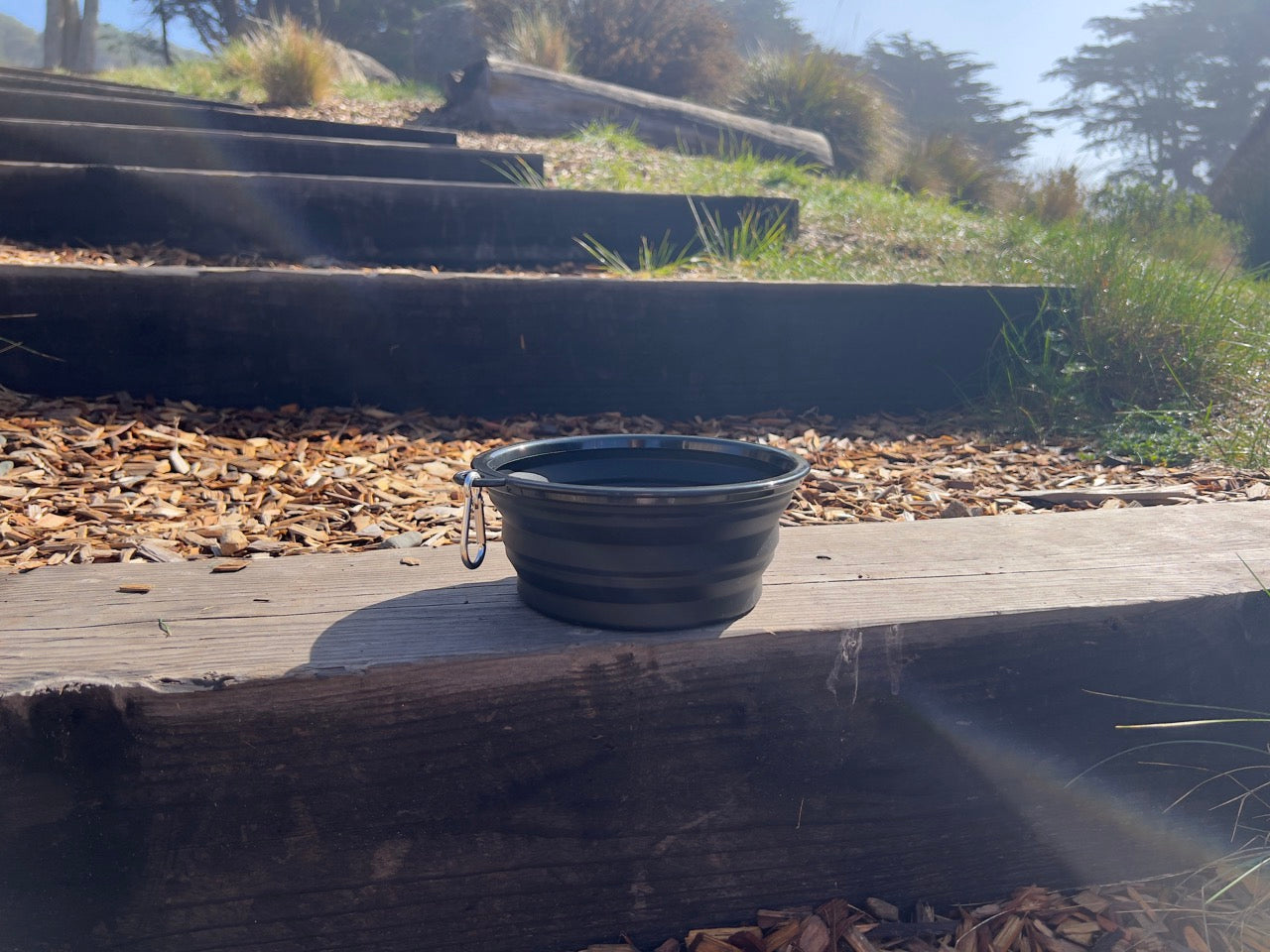 Collapsible Dog Bowl – The Sea Ranch Lodge