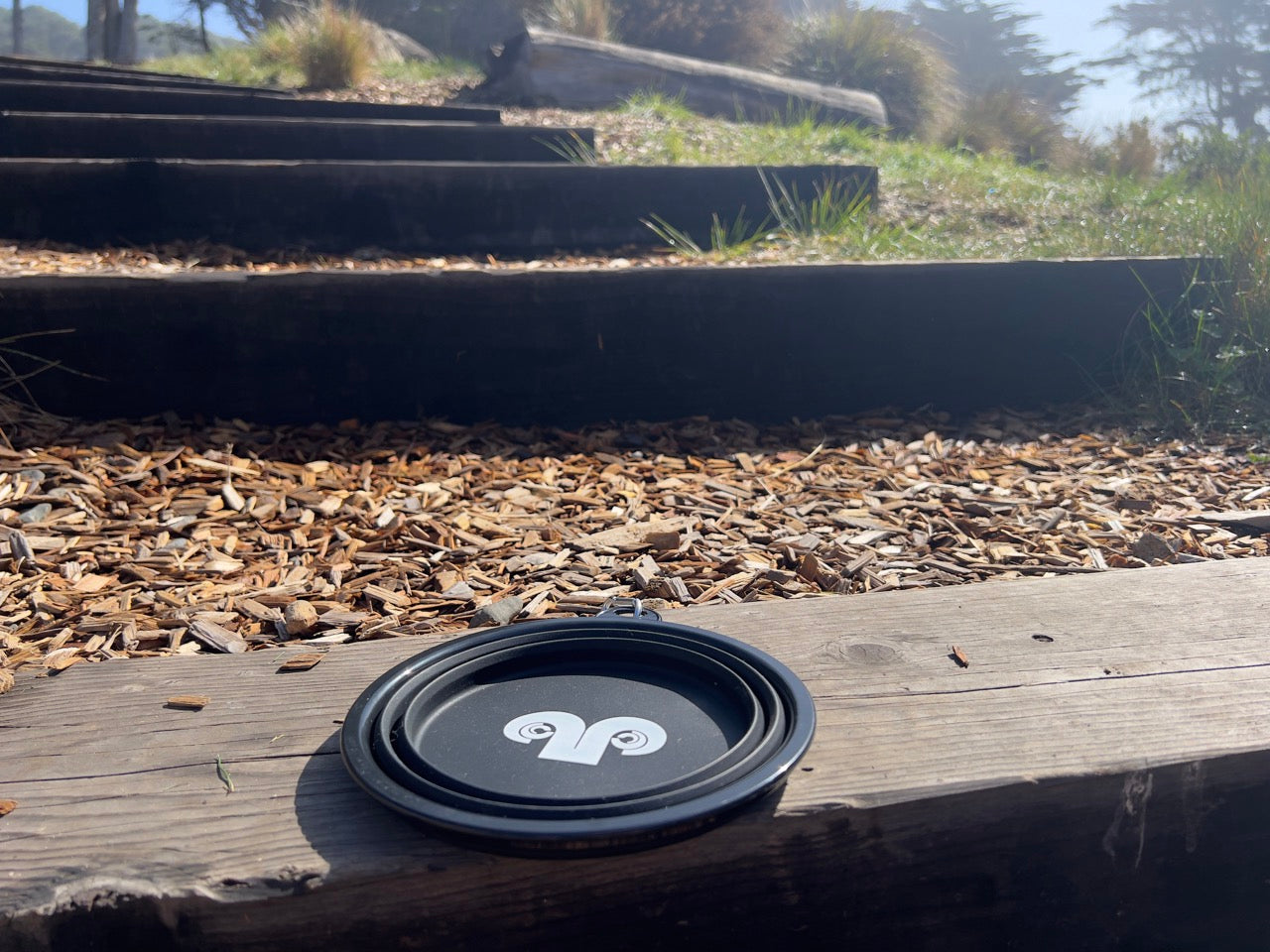 Collapsible Dog Bowl – The Sea Ranch Lodge