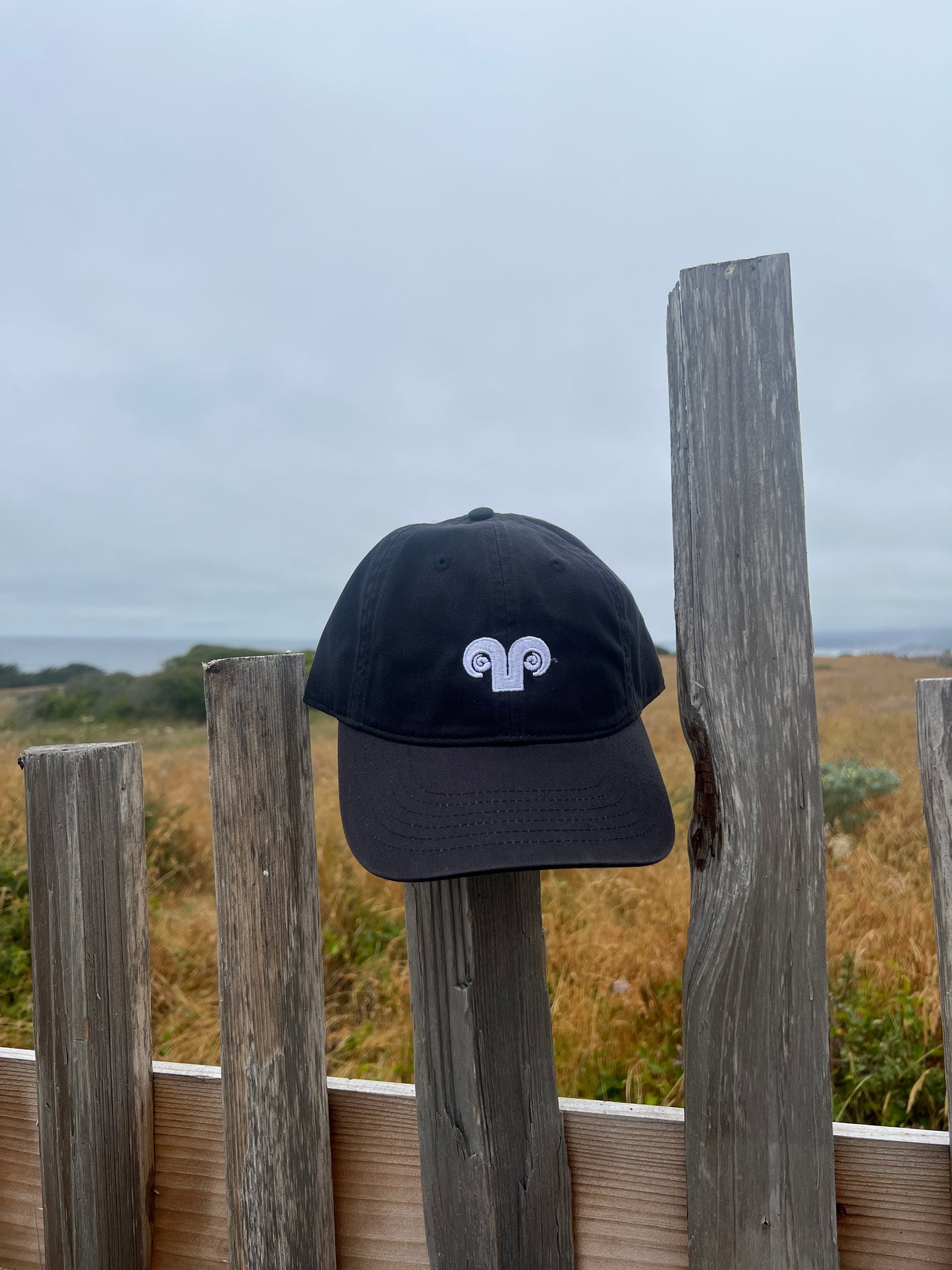 Adult Baseball Hat