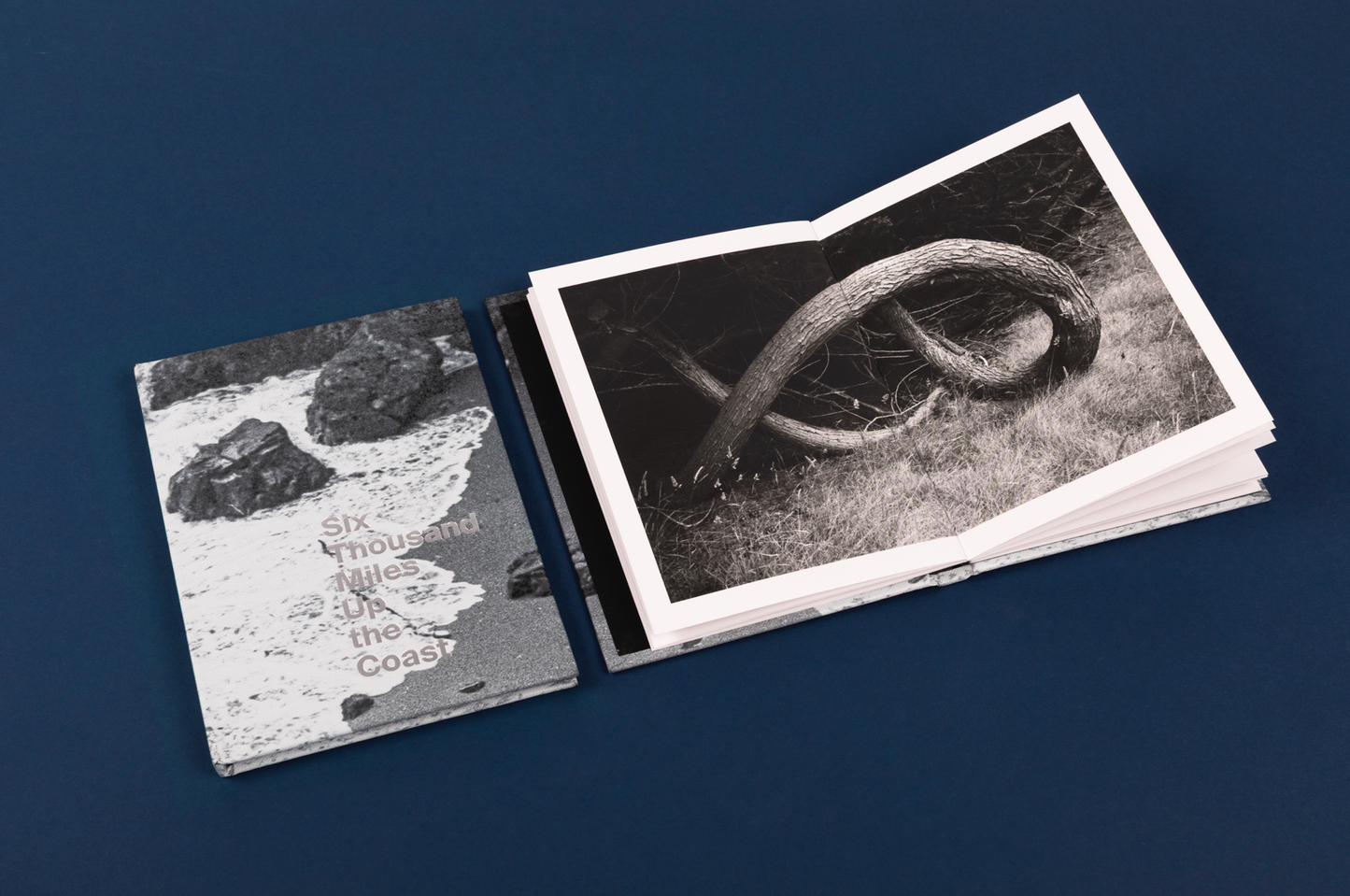 Six Thousand Miles Up The Coast: Photographs From The Sea Ranch By Richard Hay Jr.