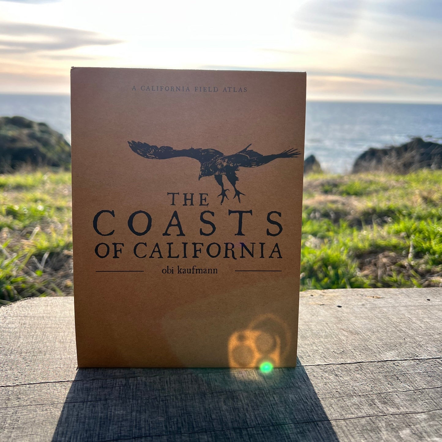 The Coasts of California by Obi Kaufmann